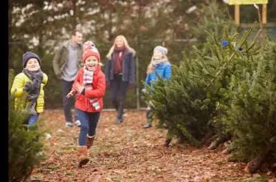 A Global System of Support